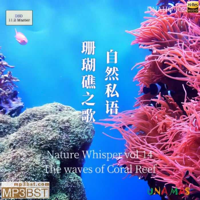 泽口真生《自然私语·珊瑚礁之歌》2023[Hi-Res_DSD256_11.2MHz_1bit/320K-mp3]